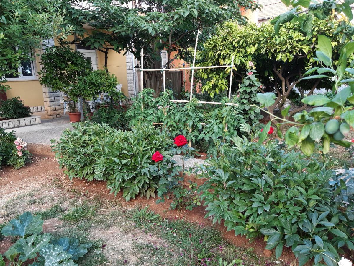 Apartment Jardin With Free Cowered Parking Zadar Exterior photo