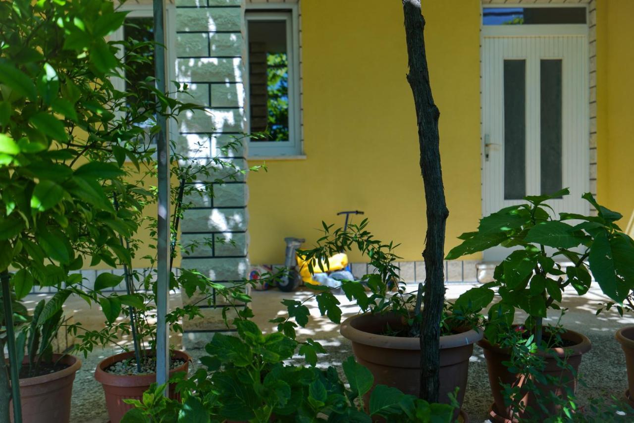 Apartment Jardin With Free Cowered Parking Zadar Exterior photo